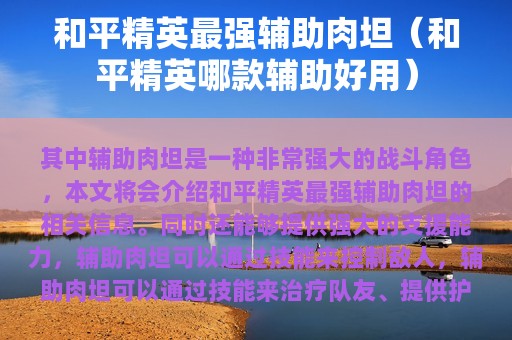 和平精英最强辅助肉坦（和平精英哪款辅助好用）