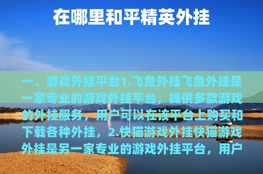 在哪里和平精英外挂