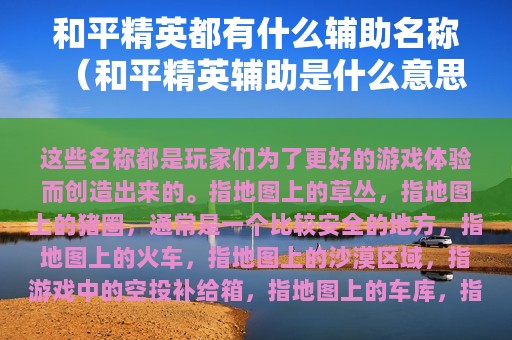 和平精英都有什么辅助名称（和平精英辅助是什么意思）