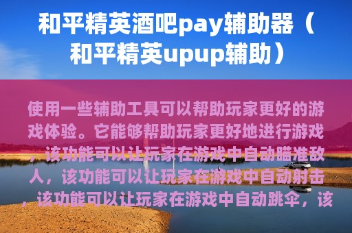和平精英酒吧pay辅助器（和平精英upup辅助）