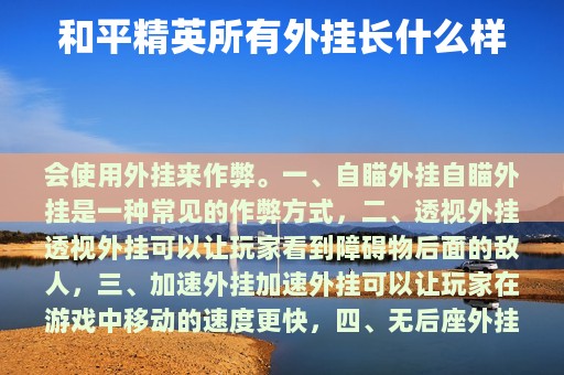 和平精英所有外挂长什么样