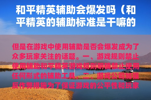 和平精英辅助会爆发吗（和平精英的辅助标准是干嘛的）