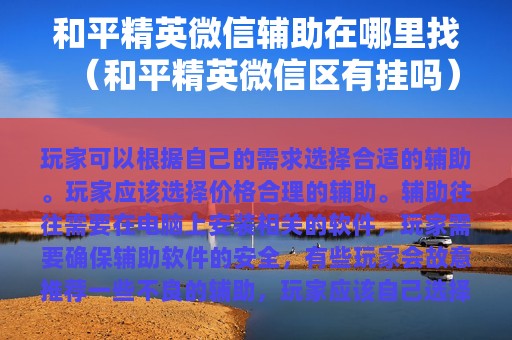 和平精英辅助在哪里找（和平精英区有挂吗）
