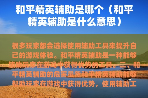 和平精英辅助是哪个（和平精英辅助是什么意思）