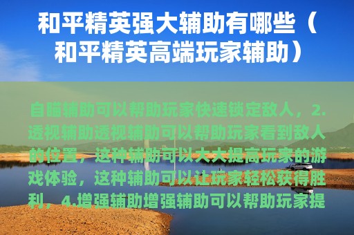 和平精英强大辅助有哪些（和平精英高端玩家辅助）