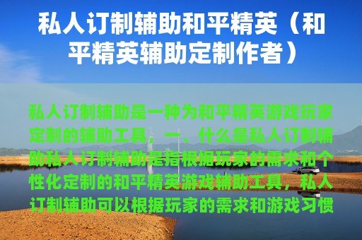 私人订制辅助和平精英（和平精英辅助定制作者）