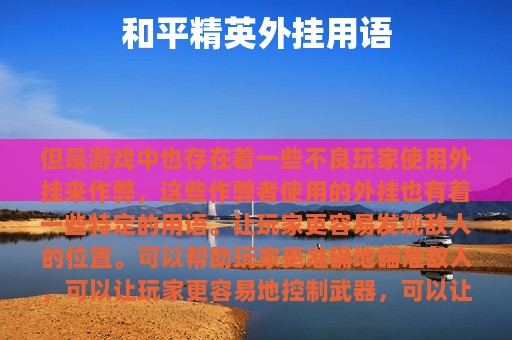 和平精英外挂用语