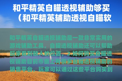 和平精英自瞄透视辅助够买（和平精英辅助透视自瞄软件）