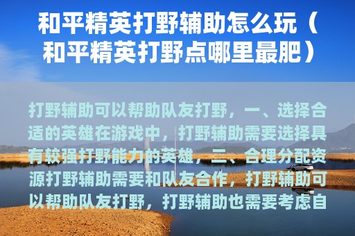 和平精英打野辅助怎么玩（和平精英打野点哪里最肥）