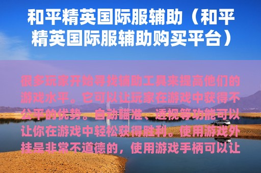 和平精英服辅助（和平精英服辅助购买平台）