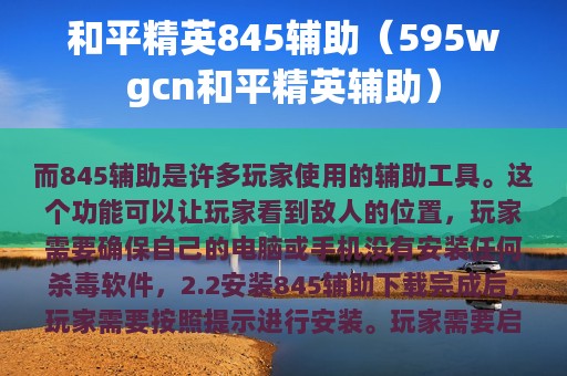 和平精英845辅助（595wgcn和平精英辅助）