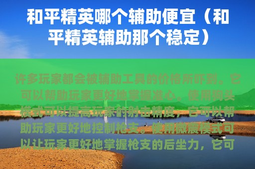 和平精英哪个辅助便宜（和平精英辅助那个稳定）